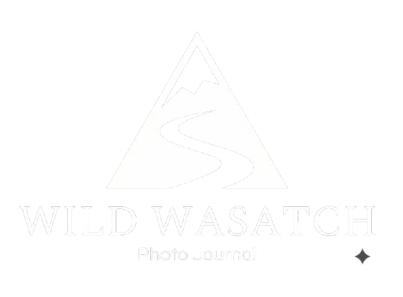 Wild Wasatch logo